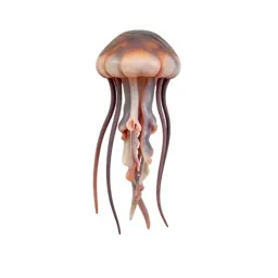 Jellyfish with long tendrils