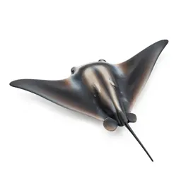 Manta ray gliding