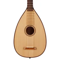 Bard's lute