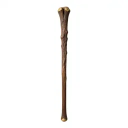 Wizard's staff