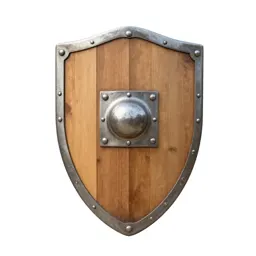 Wooden shield with an iron boss