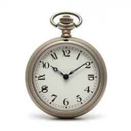 Pocket watch