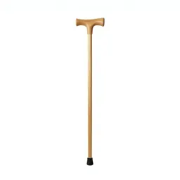 Walking cane