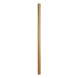 Fruit picker pole