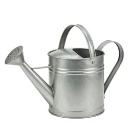 Galvanised watering can