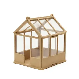 Mini greenhouse