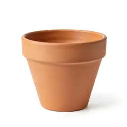 Terracotta plant pot