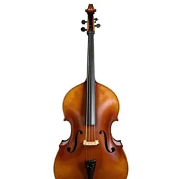 Double bass