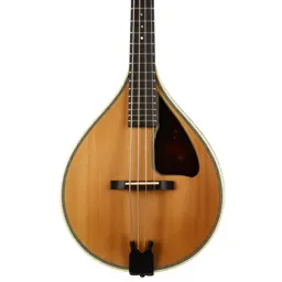 Mandolin