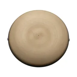 Steel tongue drum