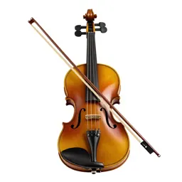 Violin with a bow