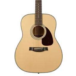 Acoustic guitar