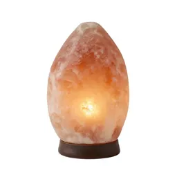 Salt lamp