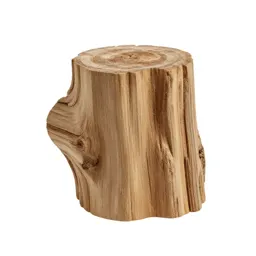 Piece of petrified wood