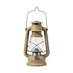 Camping lantern hook