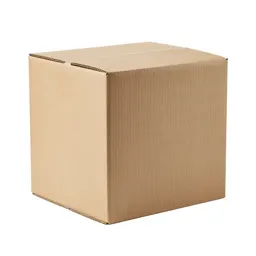 Corrugated shipping carton