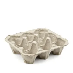 Moulded pulp egg carton