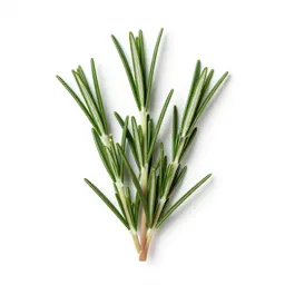 Rosemary sprig