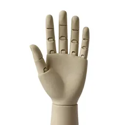Prosthetic hand