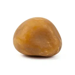 Amber specimen