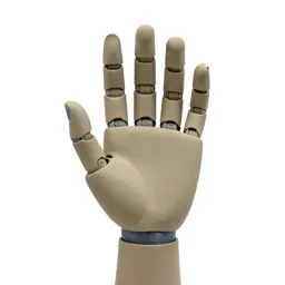Robotic hand