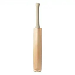 Cricket bat