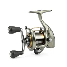 Fishing reel