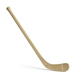 Hockey stick