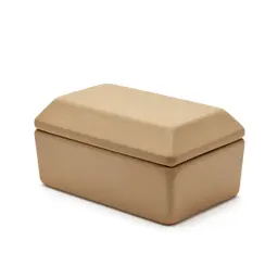 Jack-in-the-box