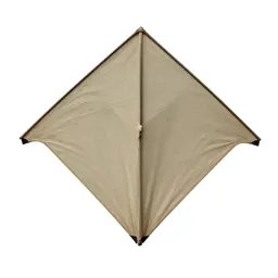 Kite