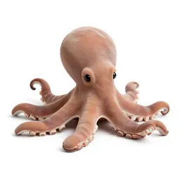 Plush octopus