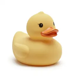 Rubber duck