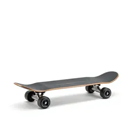 Electric skateboard