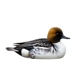 Goldeneye
