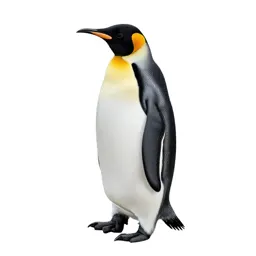 King penguin