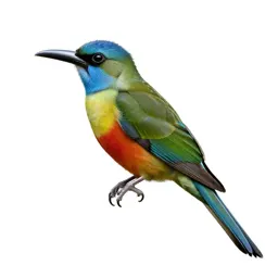 Resplendent quetzel