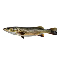 Skimmer