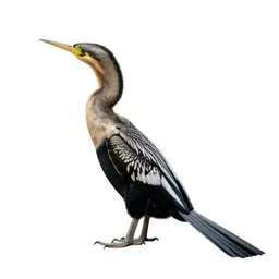 Snakebird