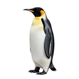 Emperor penguin