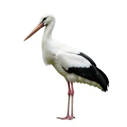 Openbill
