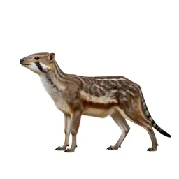 Vedalia