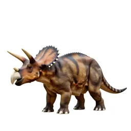 Ceratopsian