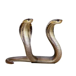 Cobra