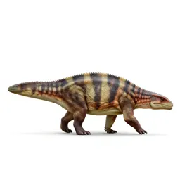 Dicynodont