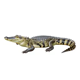 False gavial