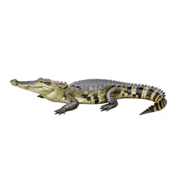Gavial