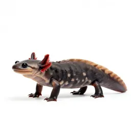 Mud puppy