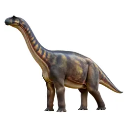 Sauropod