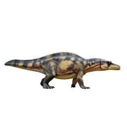 Stenopterygius