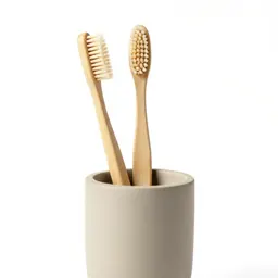Toothbrush in a holder